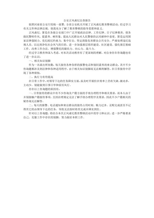 公安正风肃纪自查报告