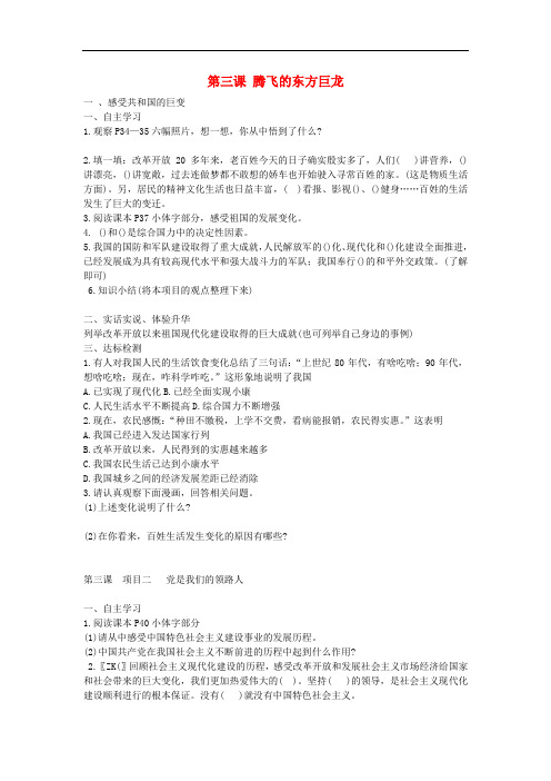 山东省泰安市岱岳区九年级政治全册 第三课 腾飞的东方巨龙学案(无答案) 鲁教版