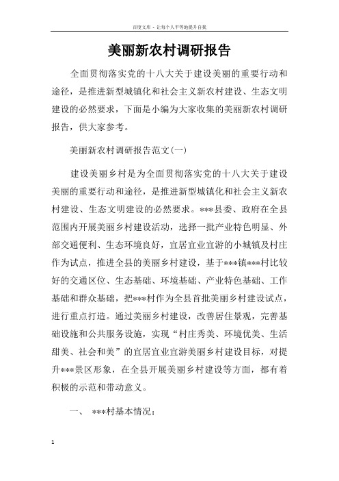 美丽新农村调研报告