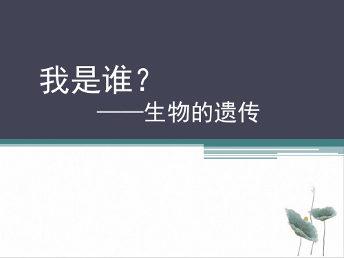 九年级下科学《遗传与进化》PPT精美课件浙教版