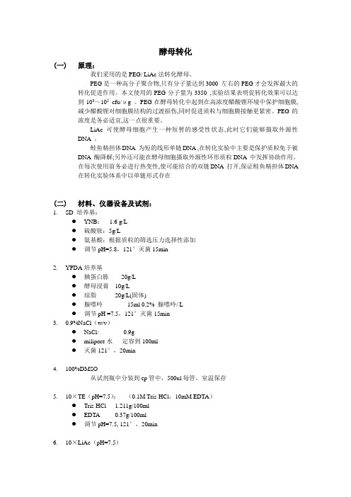 酵母转化(陈晗俊)..