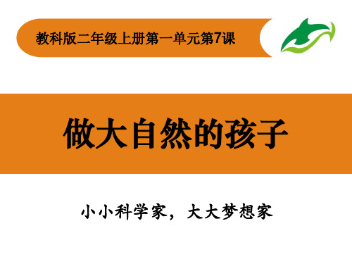 教科版科学《做大自然的孩子》ppt完美版1