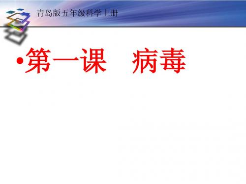 青岛版科学六年级上1病毒课件
