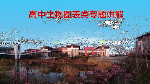 高中生物图表类专题讲解