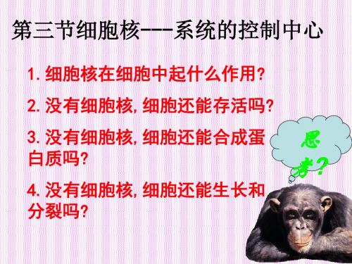 细胞核——系统的控制中心ppt43 优秀课件