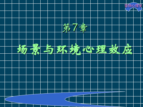 营销心理学07  营销心理学(第四版_单凤儒)PPT
