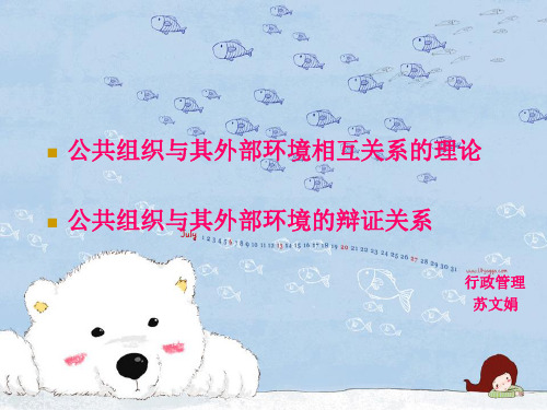 公共组织与其外部环境相互关系的理论