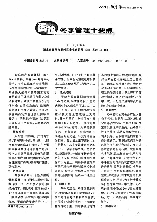 蛋鸡冬季管理十要点