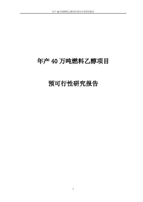年产40万吨燃料乙醇项目预可行性研究报告