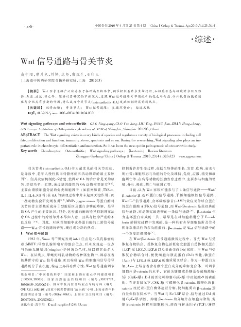 Wnt信号通路与骨关节炎