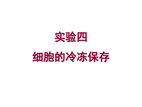 实验四细胞的冷冻保存