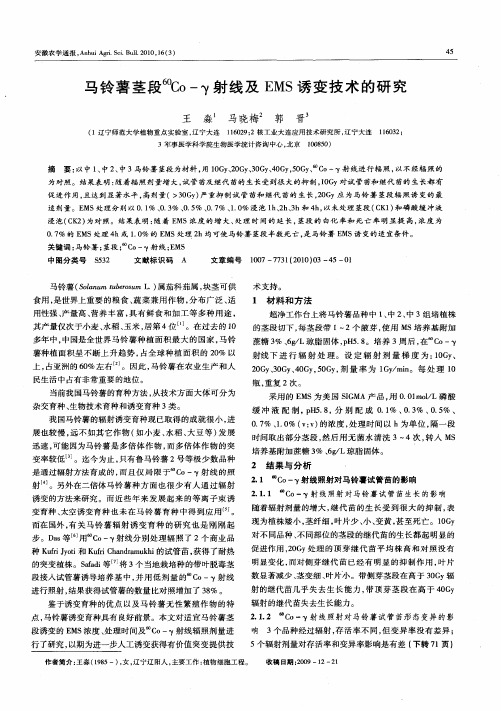 马铃薯茎段~(60)Co-γ射线及EMS诱变技术的研究