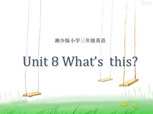 湘少版三年级英语上册Unit 8 What's this？课件3