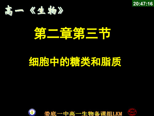 2.3 细胞中的糖类和脂质
