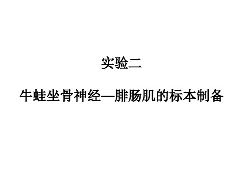 坐骨神经腓肠肌标本制备课件