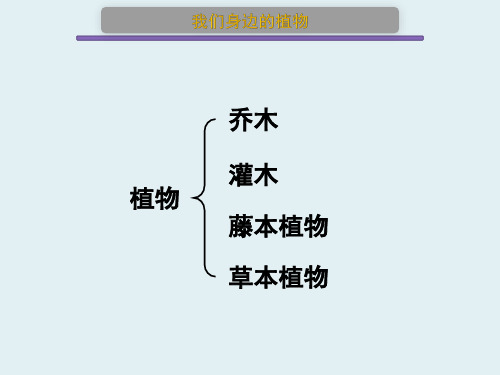 (北京版七上)1.2 认识我们身边的其他生物