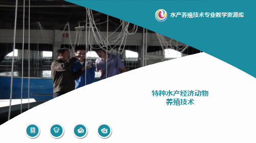 海胆人工育苗设施.pptx