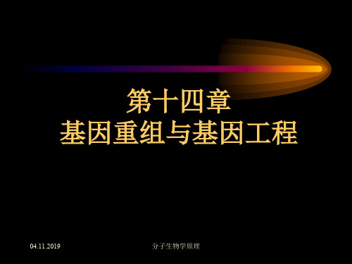 分子生物学原理--基因工程41页PPT