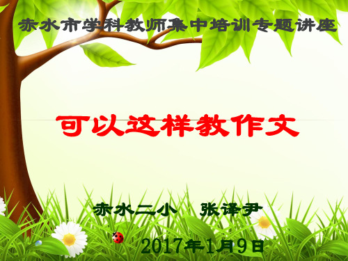 作文教学讲座详解
