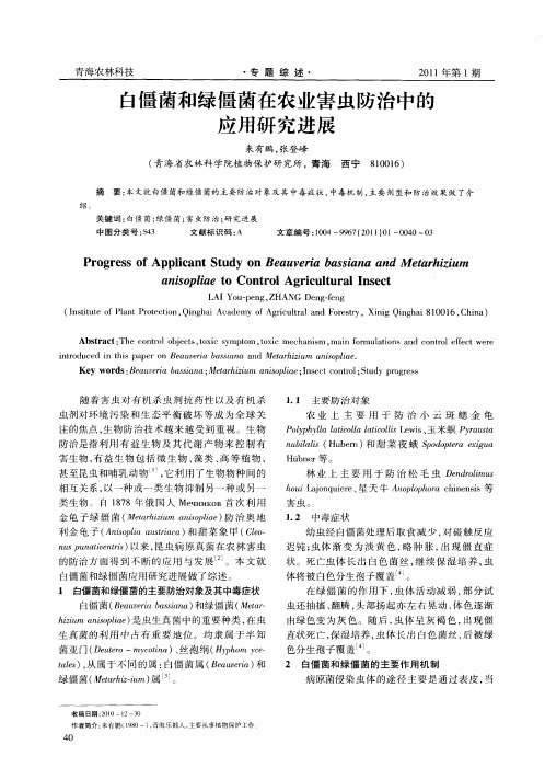 白僵菌和绿僵菌在农业害虫防治中的应用研究进展