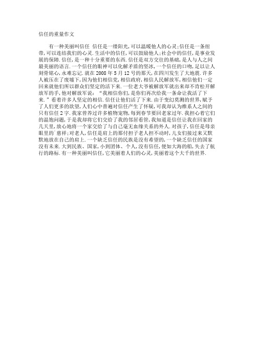信任的重量作文