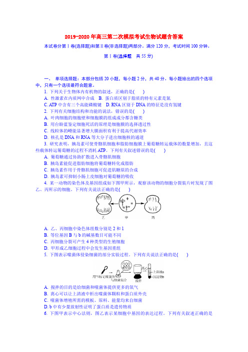 2019-2020年高三第二次模拟考试生物试题含答案