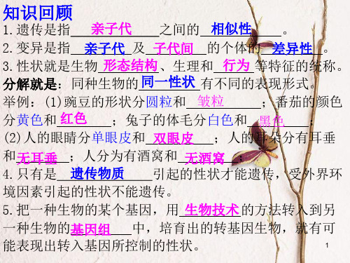 八年级生物下册 7.2.2基因在亲子代间的传递课件 (新版)新人教版.pptx