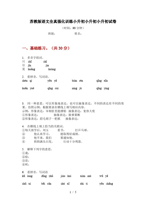 苏教版语文全真强化训练小升初试卷