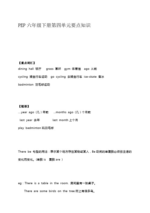 PEP英语六年级下册第四单元要点知识