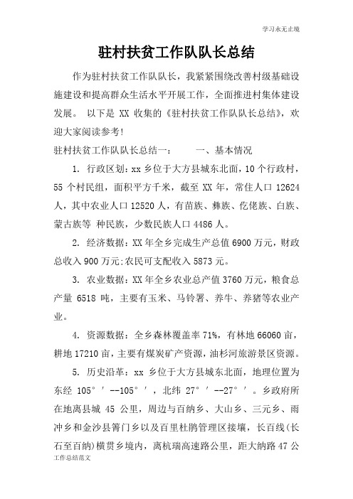 驻村扶贫工作队队长总括性结论及总结性报告