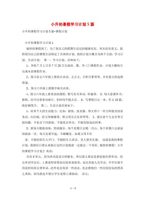 小升初暑假学习计划5篇