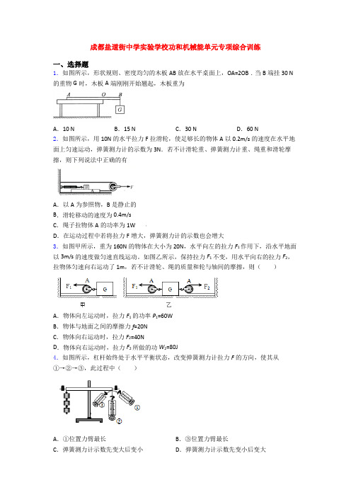 成都盐道街中学实验学校功和机械能单元专项综合训练