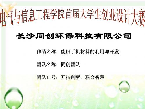大学生创业设计大赛ppt
