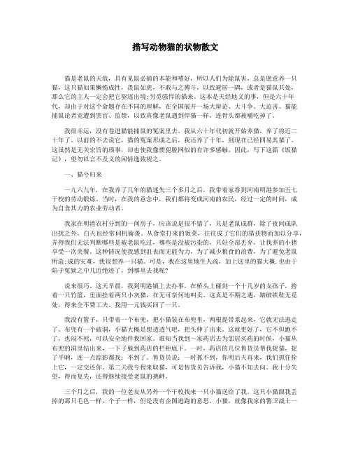 描写动物猫的状物散文