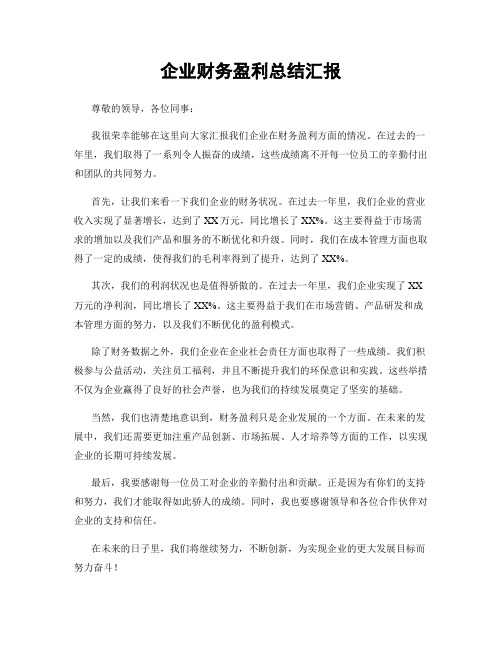 企业财务盈利总结汇报