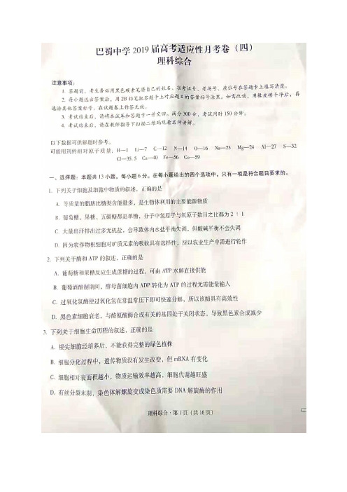 巴蜀中学 2019 届高考适应性月考卷(四)理科综合试题(含解析)