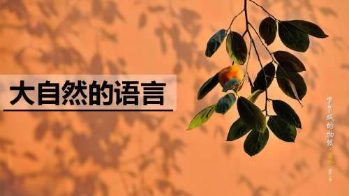 人教部编版八年级语文下册5《大自然的语言》课件附随堂练习及答案
