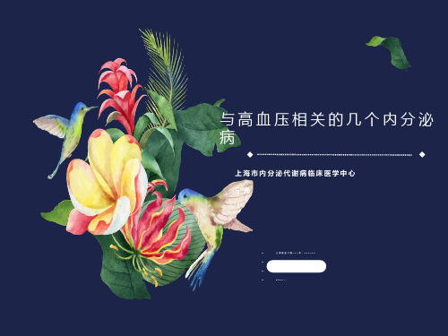 内分泌性高血压-宁光
