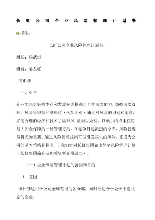 长虹风险管理计划书