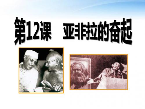 《亚非拉的奋起》亚非拉国家的独立和振兴PPT精品教学课件2