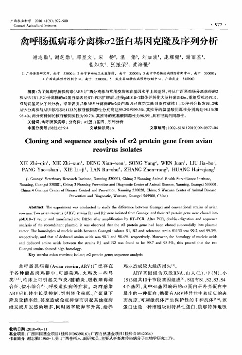 禽呼肠孤病毒分离株σ2蛋白基因克隆及序列分析