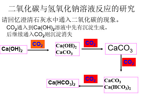 二氧化碳与氢氧化钠溶液反应的研究