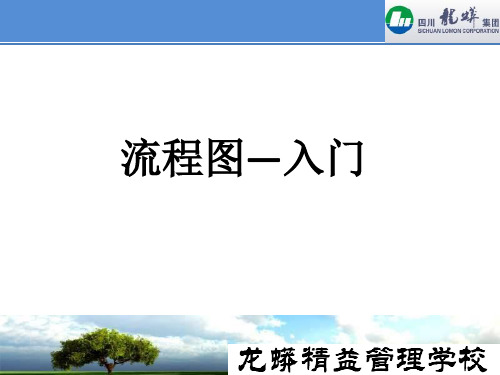 流程图、价值流分析入门PPT课件