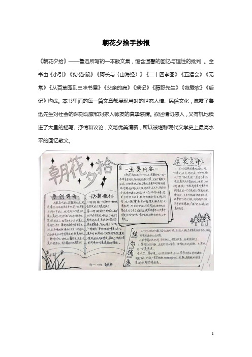 朝花夕拾五年级最好看的手抄报