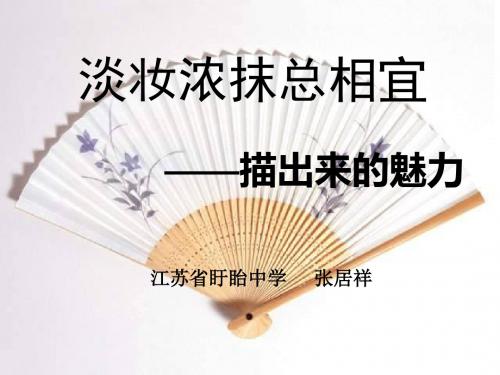 淡妆浓抹总相宜——描出来的魅力 PPT课件