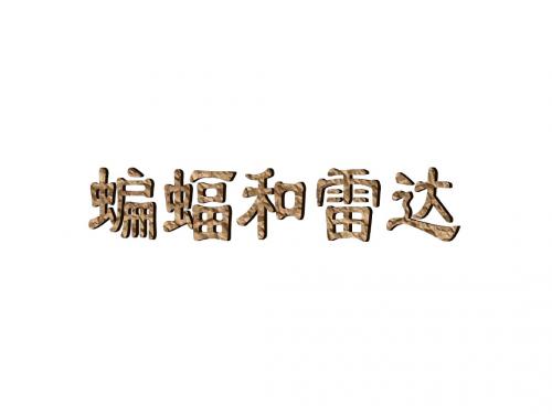 11蝙蝠和雷达