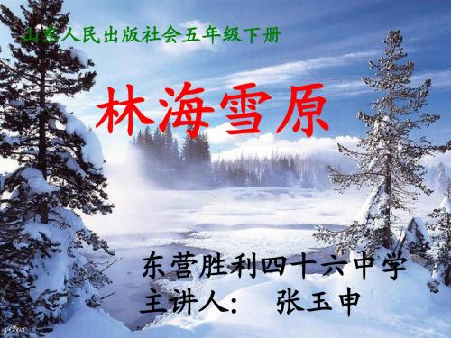 山东人民版思品五年级下册PPT课件《林海雪原》