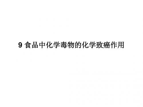 9 食品中化学毒物的化学致癌作用