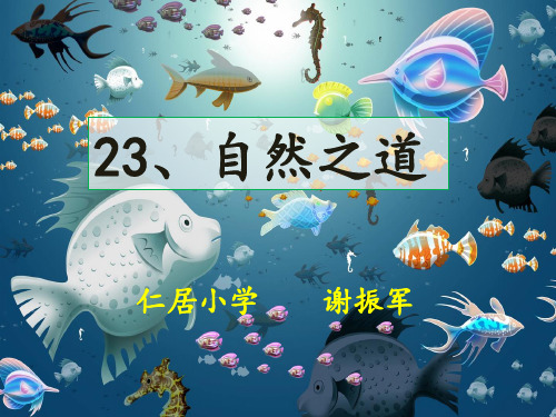 六年级上册语文课件-课文23 自然之道｜语文S版 (共18张PPT)