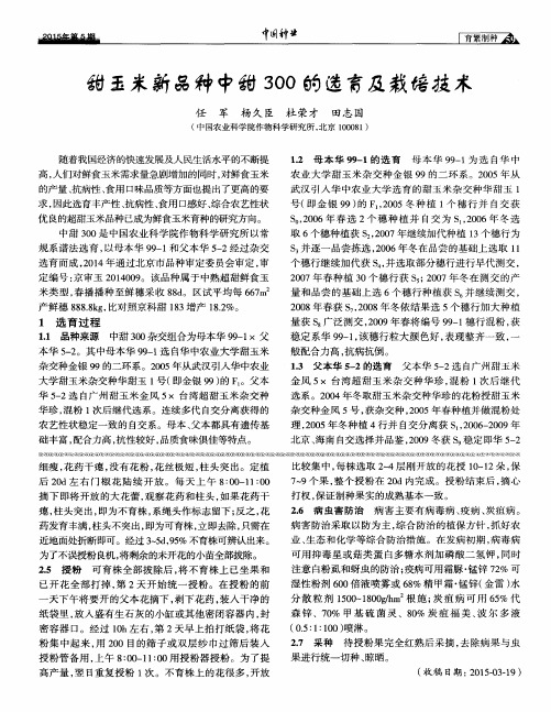 甜玉米新品种中甜300的选育及栽培技术